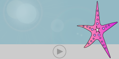 star fish illustrator graphic
